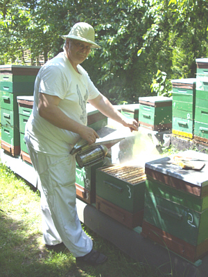 Bei der Pflege der unserer Bienenvlker